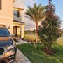 Photo of Sun Environmental of Southwest Florida