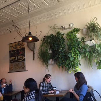 Curio Coffee - Coffee & Tea Near Me - Cambridge, Massachusetts Curio Coffee - Coffee & Tea Near Me - Cambridge, Massachusetts
