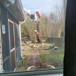 Franklien's Tree Service