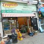 Photo of Tropicalia