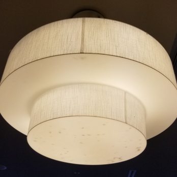 La Quinta by Wyndham West Monroe - Dead bugs in the light fixture above the table where we ate breakfast. - Hotels Near Me - West Monroe, Louisiana La Quinta by Wyndham West Monroe - Dead bugs in the light fixture above the table where we ate breakfast. - Hotels Near Me - West Monroe, Louisiana