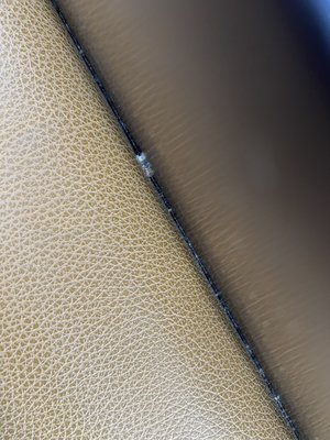 Hotel Napoleon Downtown Memphis, Memphis, TN by null