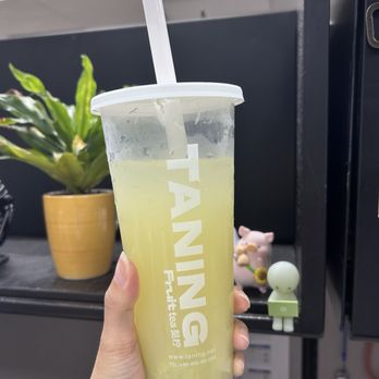 TANING - Green grape myrobalan jasmine lemon tea - Bubble Tea Near Me - Sunnyvale, California TANING - Green grape myrobalan jasmine lemon tea - Bubble Tea Near Me - Sunnyvale, California