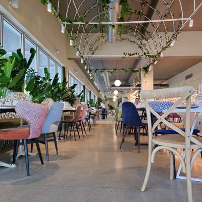 CalaMillor Gourmet Experience by null