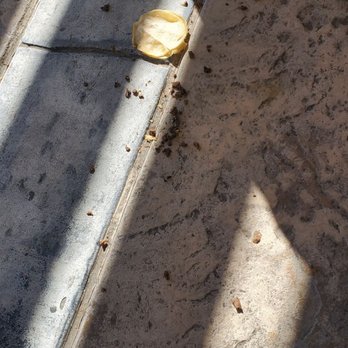 Extended Studio - Left dried out food staff won't clean up - Hotels Near Me - San Dimas, California Extended Studio - Left dried out food staff won't clean up - Hotels Near Me - San Dimas, California