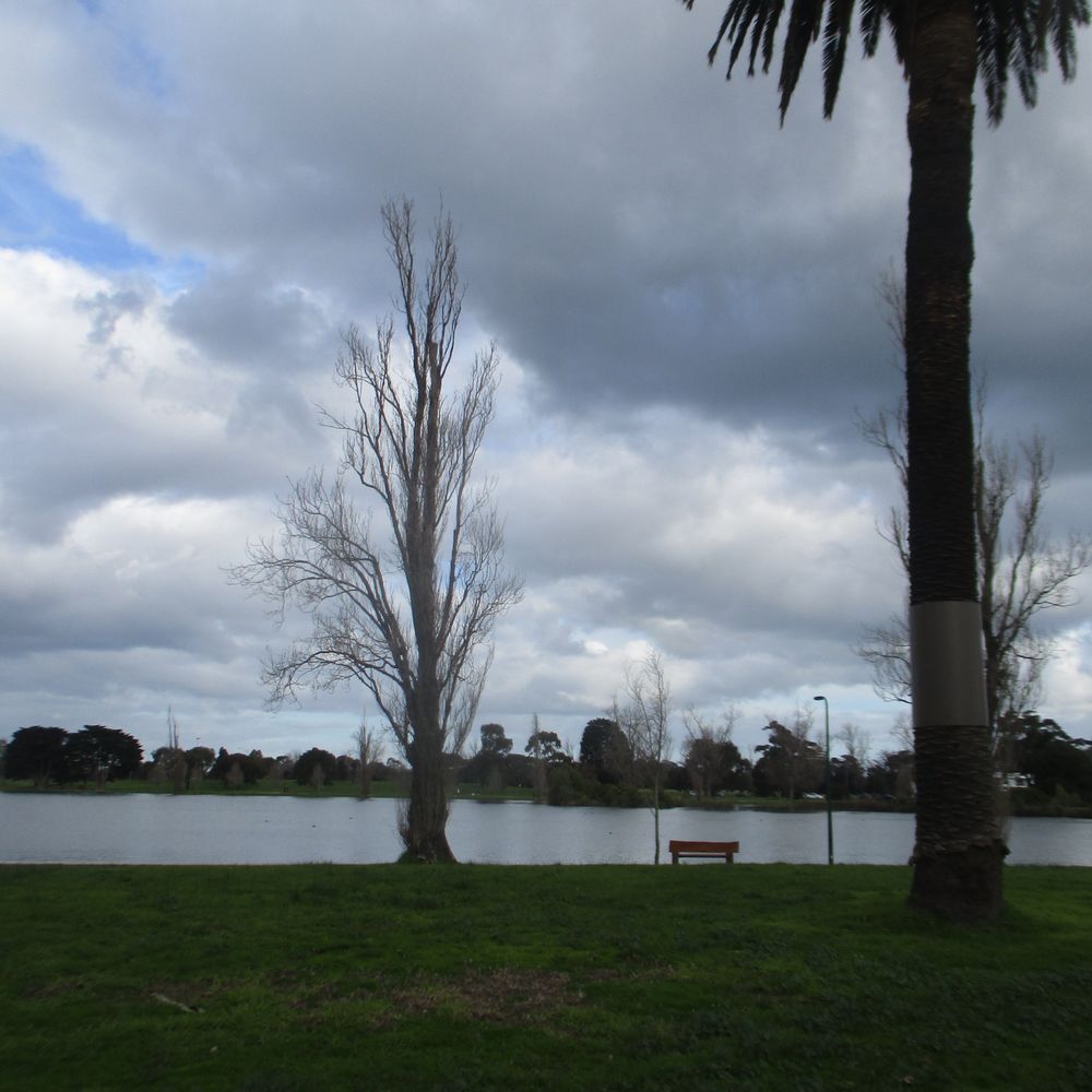 Albert Park - Lake - Lakes Near Me - Albert Park, VIC