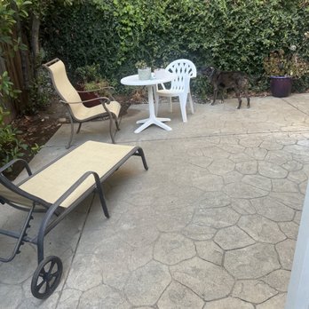 SJ Reliance Services - They cleaned and reset the backyard after the power washing and gutter cleaning. - Pressure Washers Near Me - Roseville, California SJ Reliance Services - They cleaned and reset the backyard after the power washing and gutter cleaning. - Pressure Washers Near Me - Roseville, California