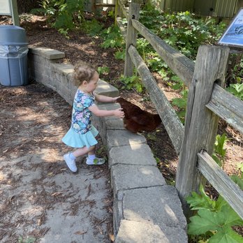 Tilden Regional Park Little Farm - Making friends - Parks Near Me - Berkeley, California Tilden Regional Park Little Farm - Making friends - Parks Near Me - Berkeley, California