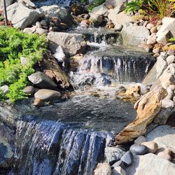 Creative Living Landscape Design