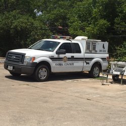 Kyle Animal Control