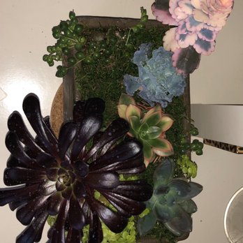 Family Tree Nursery - Make your own succulent container ! Perfect Mother daughter date !! - Nurseries & Gardening Near Me - Overland Park, Kansas Family Tree Nursery - Make your own succulent container ! Perfect Mother daughter date !! - Nurseries & Gardening Near Me - Overland Park, Kansas