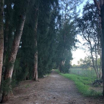 Wolf Lake Park - Path - Parks Near Me - Davie, Florida