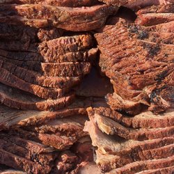 Silverback BBQ - Smoked tri-tip
