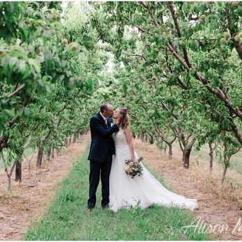 Alison McQuain Photography - Palisade Wedding - Event Photography Near Me Alison McQuain Photography - Palisade Wedding - Event Photography Near Me