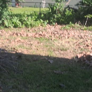 C & A Tree Service - Before - Tree Services Near Me - Buffalo, Missouri