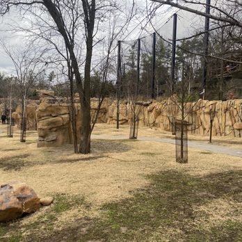 Kangaroo Walkabout - Zoos Near Me - Cincinnati, Ohio