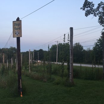 Stone Cow Brewery - Growing hops - Breweries Near Me - Barre, Massachusetts Stone Cow Brewery - Growing hops - Breweries Near Me - Barre, Massachusetts