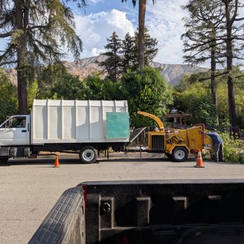 The Crew Tree Services - !!!CALL NOW!!! for best prices and discounts on Tree Trimming & palm clean up.
714-307-7397 - Tree Services Near Me - Santa Ana, California The Crew Tree Services - !!!CALL NOW!!! for best prices and discounts on Tree Trimming & palm clean up.
714-307-7397 - Tree Services Near Me - Santa Ana, California