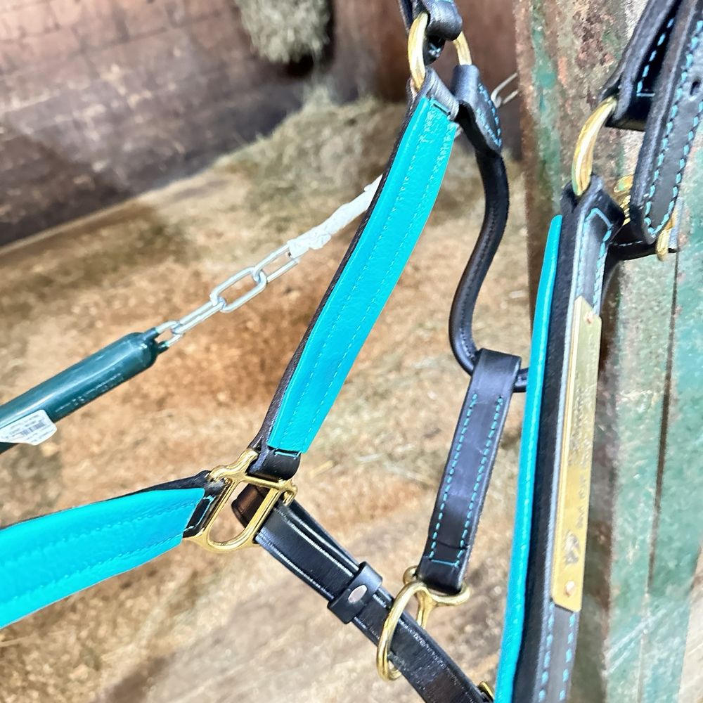 Tack Shack Of Ocala - Bridle padding - custom, teal - Horse Equipment Shops Near Me - Ocala, Florida Tack Shack Of Ocala - Bridle padding - custom, teal - Horse Equipment Shops Near Me - Ocala, Florida