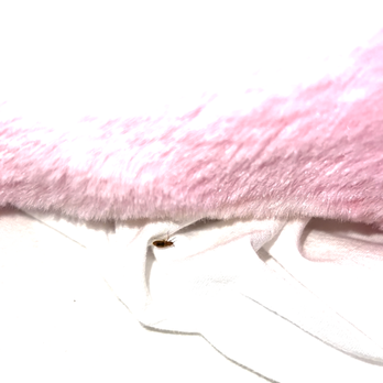 The Stamford Hotel - Huge bed bug crawling on my daughter's stuffed animal! Horrifying. - Hotels Near Me - Stamford, Connecticut The Stamford Hotel - Huge bed bug crawling on my daughter's stuffed animal! Horrifying. - Hotels Near Me - Stamford, Connecticut