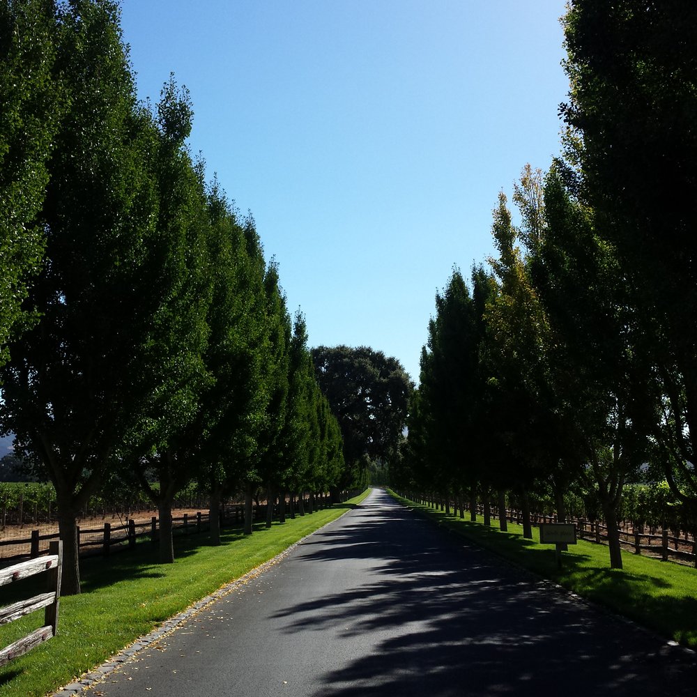 Far Niente - The entrance - Wineries Near Me - Oakville, California