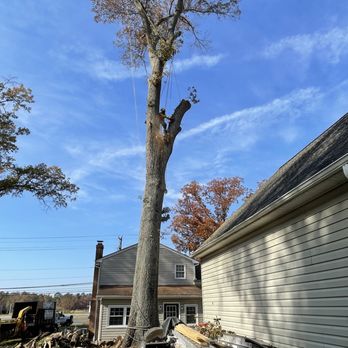 Redeemed Tree Service - Tree Services Near Me Redeemed Tree Service - Tree Services Near Me