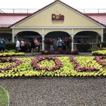 E Noa Tours - Dole Plantation - Tours Near Me - Honolulu, Hawaii E Noa Tours - Dole Plantation - Tours Near Me - Honolulu, Hawaii