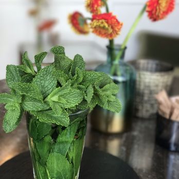 Café Feel Good - Fresh mint tea - wow it tastes as amazing as it looks - Cafes Near Me - København