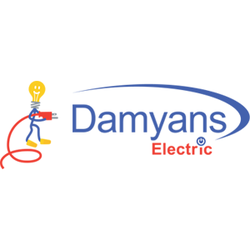 Damyans Electric