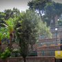 Photo of İzmir Kız Lisesi