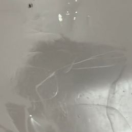 Slime in the ice machine Slime in the ice machine