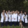 The Drake Center for Veterinary Care