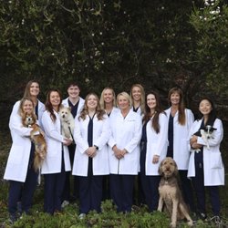 The Drake Center for Veterinary Care - Drake Center Doctors