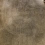 Photo of 1st Call Restoration