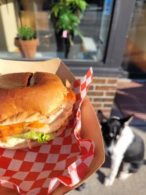 DAM Sandwiches by null