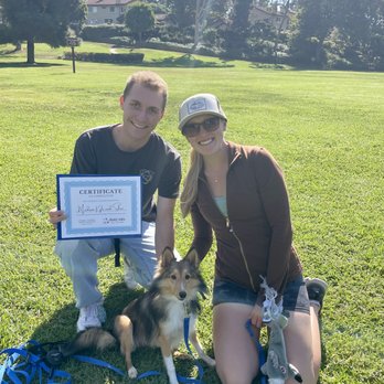 Peace Pups Dog Training - Pet Training Near Me Peace Pups Dog Training - Pet Training Near Me