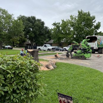 Chippers Tree Service - Tree going down. - Tree Services Near Me - Grand Prairie, Texas Chippers Tree Service - Tree going down. - Tree Services Near Me - Grand Prairie, Texas