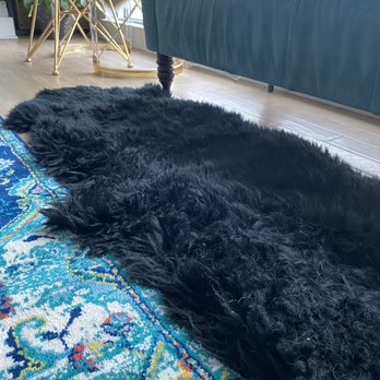 Villeda Master Cleaning - Thorough vacuum on rug that easily picks up my dog's light hair - Home Cleaning Near Me - Silver Spring , Maryland Villeda Master Cleaning - Thorough vacuum on rug that easily picks up my dog's light hair - Home Cleaning Near Me - Silver Spring , Maryland