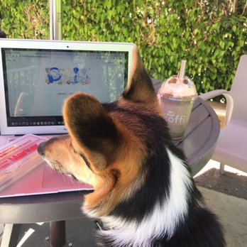 Koffi - Dog friendly - Coffee & Tea Near Me - Rancho Mirage, California Koffi - Dog friendly - Coffee & Tea Near Me - Rancho Mirage, California