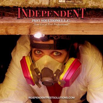Independent Pest Solutions - Independent Pest Solutions - Technician - Pest Control Near Me - Puyallup, Washington Independent Pest Solutions - Independent Pest Solutions - Technician - Pest Control Near Me - Puyallup, Washington