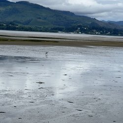 Bayocean Peninsula Park - Bayocean Peninsula