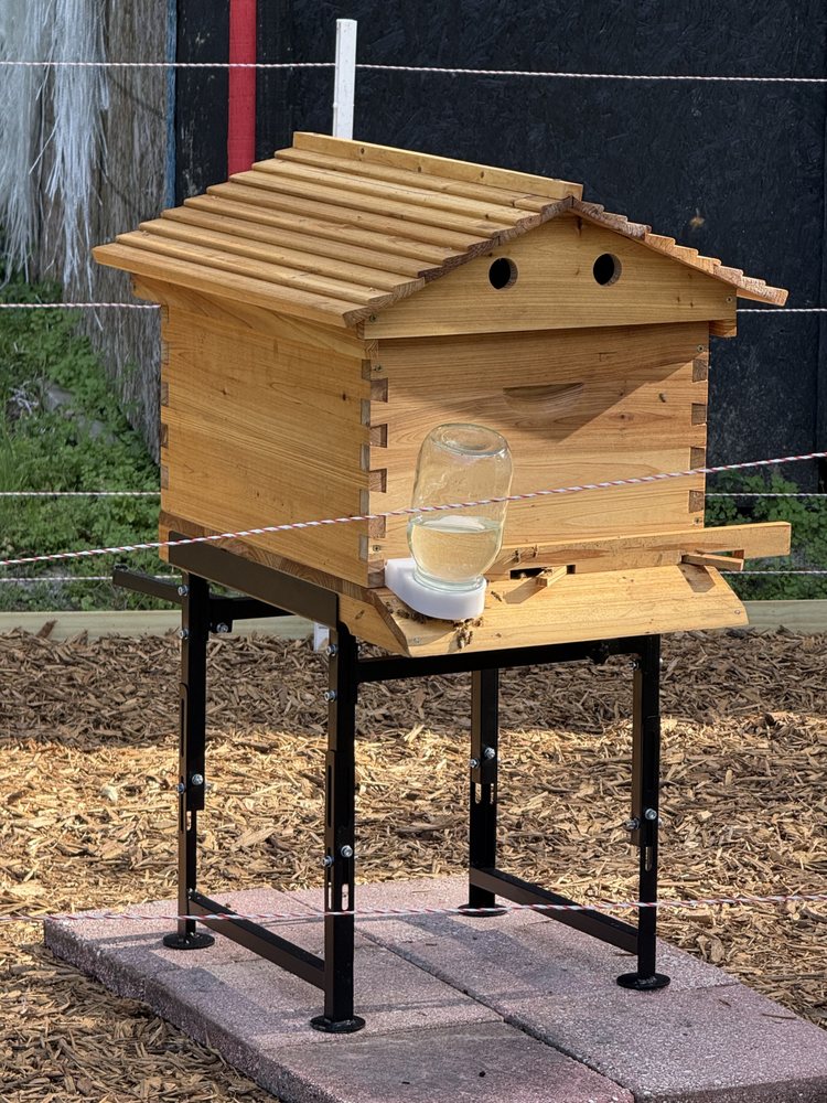 Chianina Microtopia - beekeeping in Zephyrhills, FL