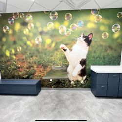 i35 Market Place Animal Hospital - The exam rooms are state-of-the-art.