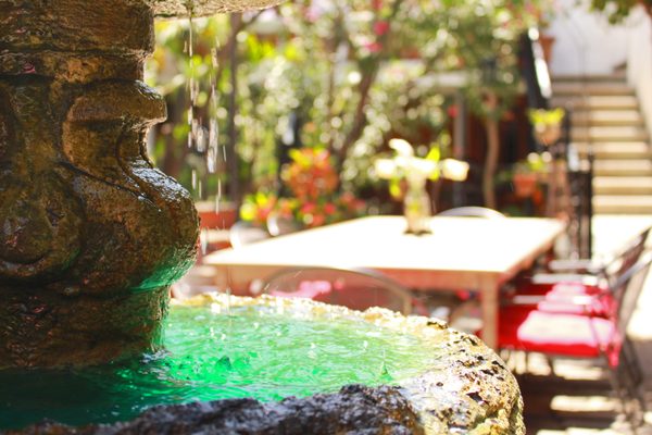 Hotel Las Mariposas by null
