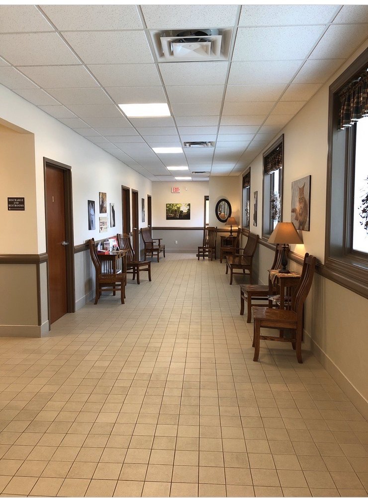 PERRY PET Updated August 2024 10 Photos & 11 Reviews 3699 W Main