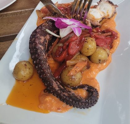 Tinto Tapas Restaurant & Wine Bar by null