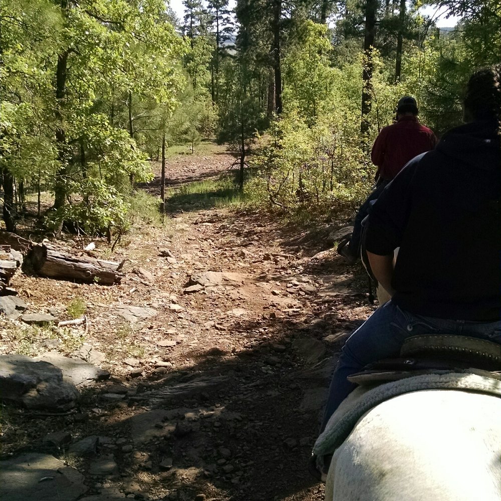 High Mountain Trail Rides - Tours Near Me - Mormon Lake, Arizona