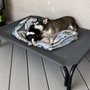 Livewell Animal Hospital of Herriman
