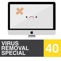 If you have a computer virus, now is the time to get that taken care of. Virus Removal and PC Tune Up are only $40 all of March.