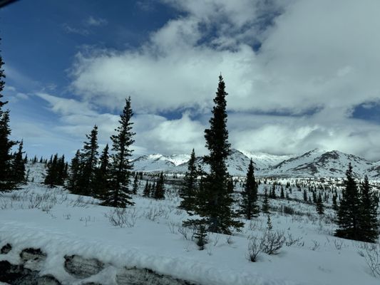 Talkeetna Roadhouse by null